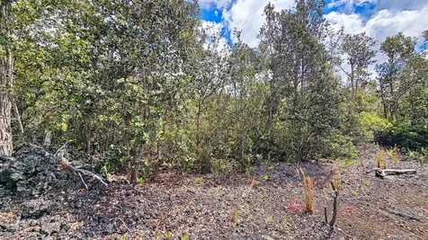 92-9114 Lotus Blossom Lane Ocean View HI 96737