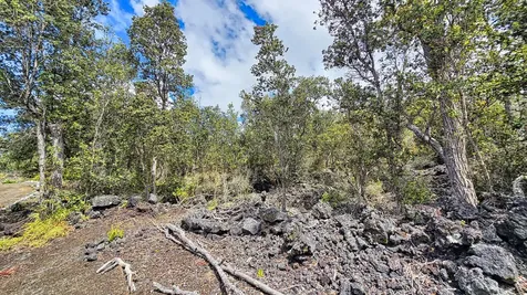 92-9114 Lotus Blossom Lane Ocean View HI 96737