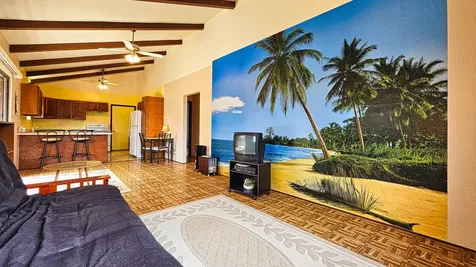 92-9114 Lotus Blossom Lane Ocean View HI 96737