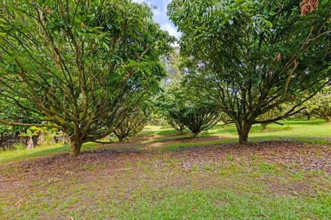 29-655 Chin Chuck Road Hakalau HI 96710