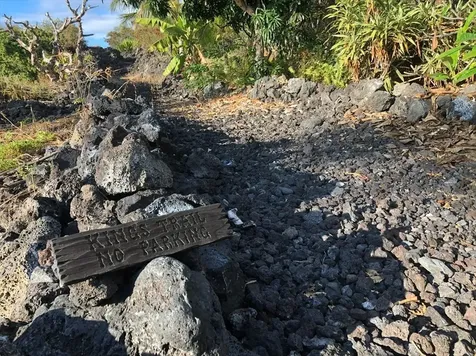 Japonica Road Captain Cook HI 96704