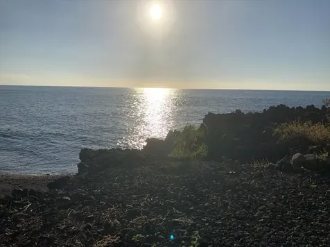 Japonica Road Captain Cook HI 96704