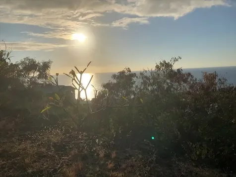 Japonica Road Captain Cook HI 96704