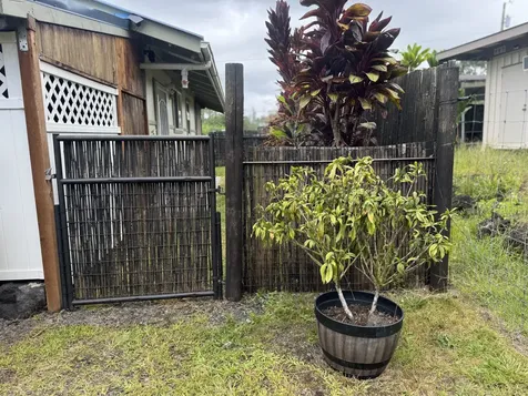 16-1970 Silversword Court Keaau HI 96749