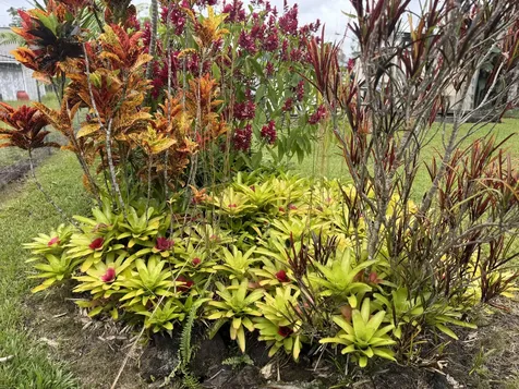 16-1970 Silversword Court Keaau HI 96749