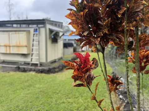 16-1970 Silversword Court Keaau HI 96749