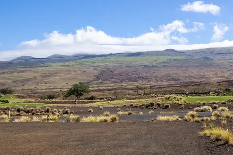 62-6049 Amaui Lani Place Kamuela HI 96743