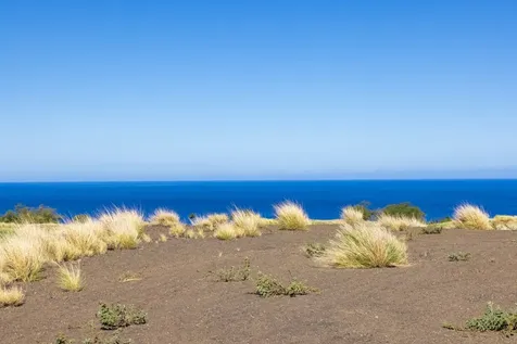 62-6049 Amaui Lani Place Kamuela HI 96743