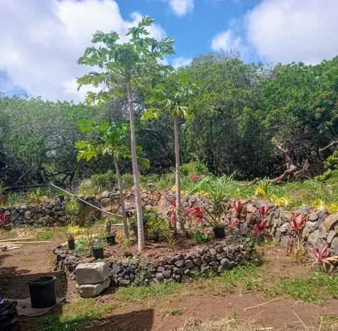 94-6336 Pua Street Naalehu HI 96772