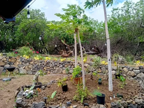 94-6336 Pua Street Naalehu HI 96772