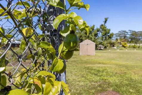 15-1701 17th Avenue Keaau HI 96749