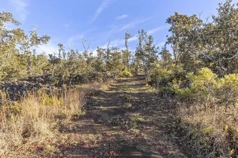 92-9346 Tiki Lane Ocean View HI 96737