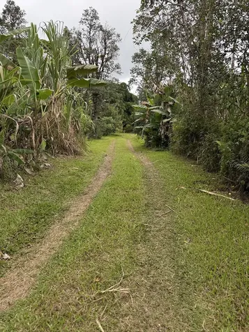 17-3853 Enos Road Mountain View HI 96771