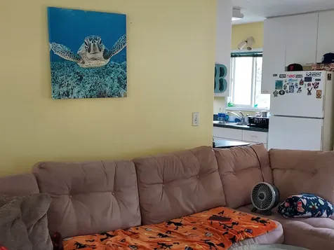 15-2791 Awa Street Pahoa HI 96778