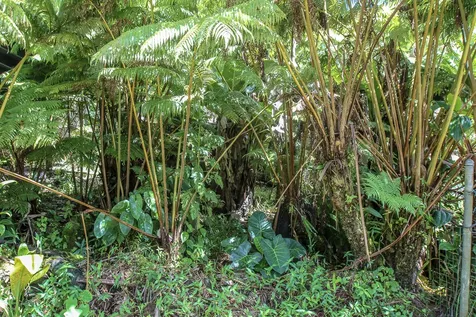 18-2054 Hapuu Nani Road Volcano HI 96785