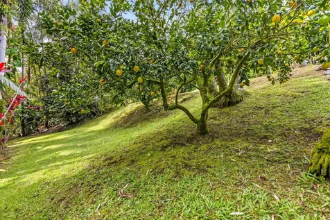 235 Kaiulani Street Hilo HI 96720