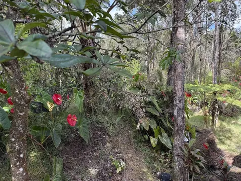 11-3178 Anuhea Street Volcano HI 96785