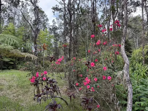 11-3178 Anuhea Street Volcano HI 96785