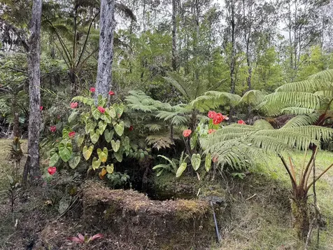 11-3178 Anuhea Street Volcano HI 96785