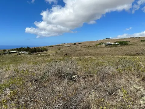 59-109 Ka Nani Place Kapaau HI 96743