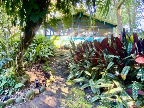 14-347 Papaya Farms Road Pahoa HI 96778