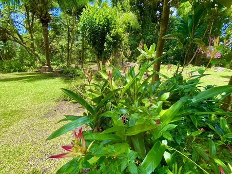 14-347 Papaya Farms Road Pahoa HI 96778