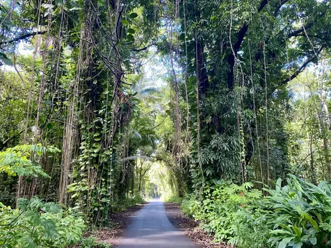 14-347 Papaya Farms Road Pahoa HI 96778