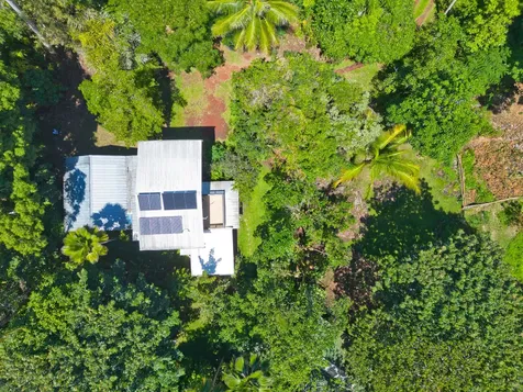 14-347 Papaya Farms Road Pahoa HI 96778