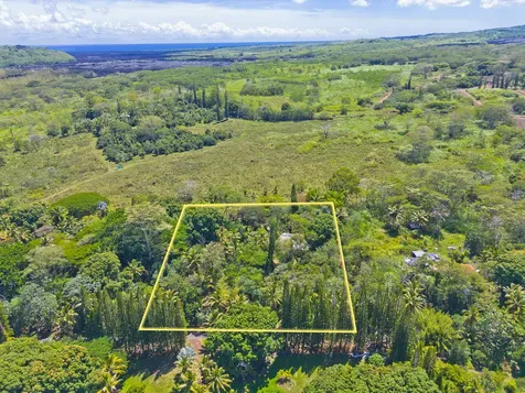 14-347 Papaya Farms Road Pahoa HI 96778