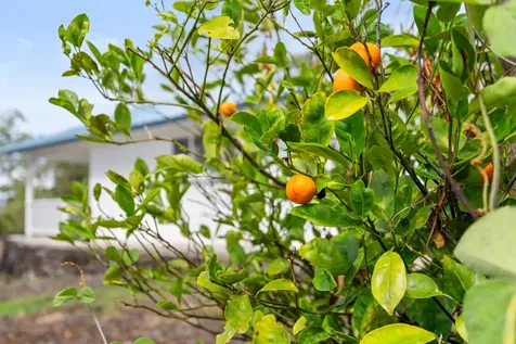 92-9043 Leilani Parkway Ocean View HI 96737