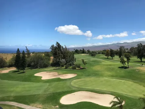 68-1845 Pakanu Street Waikoloa HI 96738