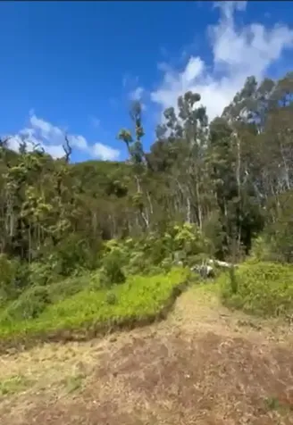 32-640 Piha Kahuku Road Papaaloa HI 96780