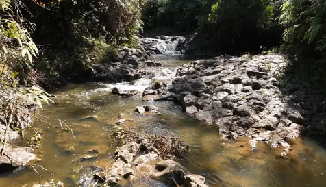 32-640 Piha Kahuku Road Papaaloa HI 96780