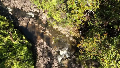 32-640 Piha Kahuku Road Papaaloa HI 96780