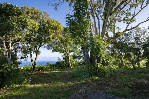 55-789 Hawi Road Hawi HI 96719