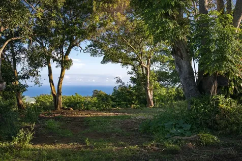 55-789 Hawi Road Hawi HI 96719