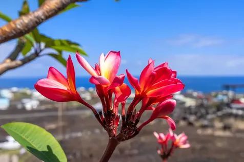 88-1506 Ewalu Avenue Captain Cook HI 96704