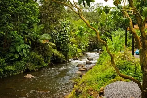 289 Wainaku Street Hilo HI 96720