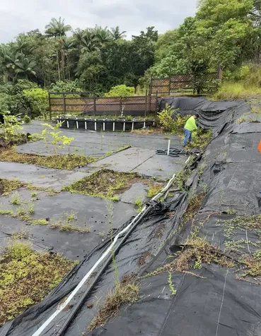 289 Wainaku Street Hilo HI 96720