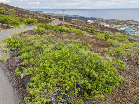 88-1516 Pikake Avenue Captain Cook HI 96704