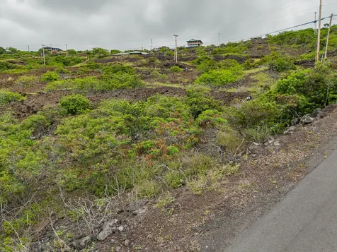 88-1516 Pikake Avenue Captain Cook HI 96704