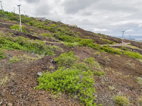 88-1516 Pikake Avenue Captain Cook HI 96704