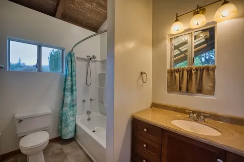 45-3463 Kahana Drive Honokaa HI 96727