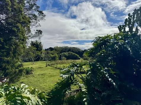 45-3463 Kahana Drive Honokaa HI 96727