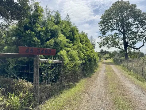 45-3463 Kahana Drive Honokaa HI 96727