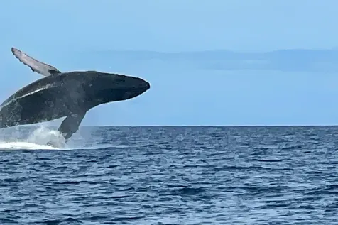 68-1761 Melia Street Waikoloa HI 96738