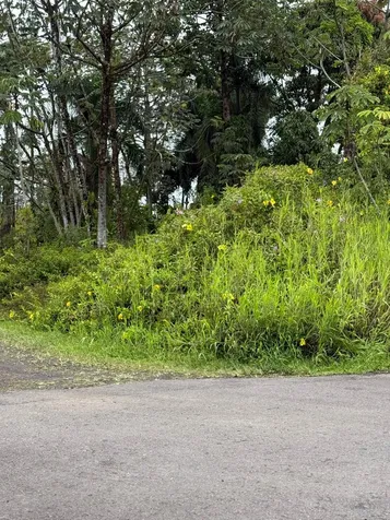 Uilani Drive Kurtistown HI 96760