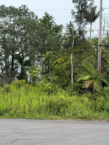 Uilani Drive Kurtistown HI 96760