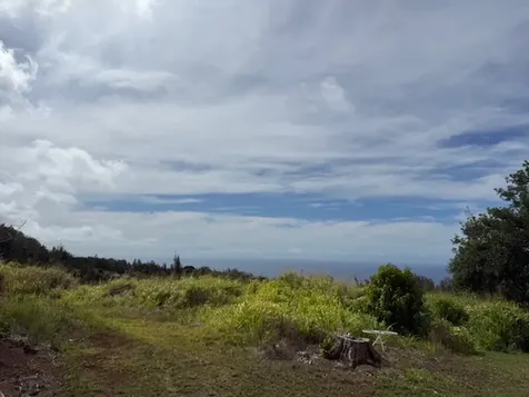 46-4180 Honokaa Waipio Road Honokaa HI 96727