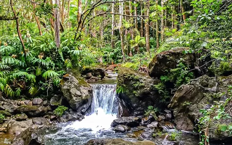 27-1127 Onohi Loop Pepeekeo HI 96783